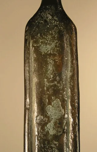 Schiena